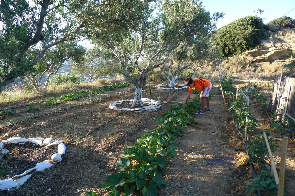 Bellair Village Agia Pelagia  Exterior photo